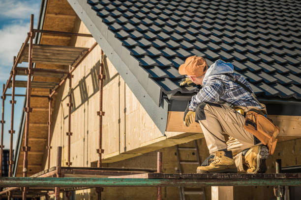 Roof Moss and Algae Removal in Arcola, TX