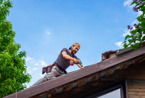 Fast & Reliable Emergency Roof Repairs in Arcola, TX